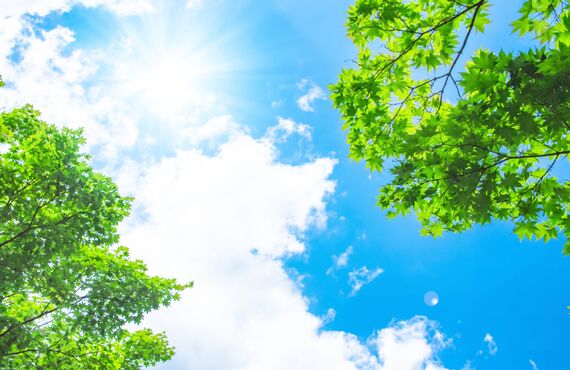 広島県呉市の障害年金申請代行は｜社会保険労務士事務所スリーエスプラス